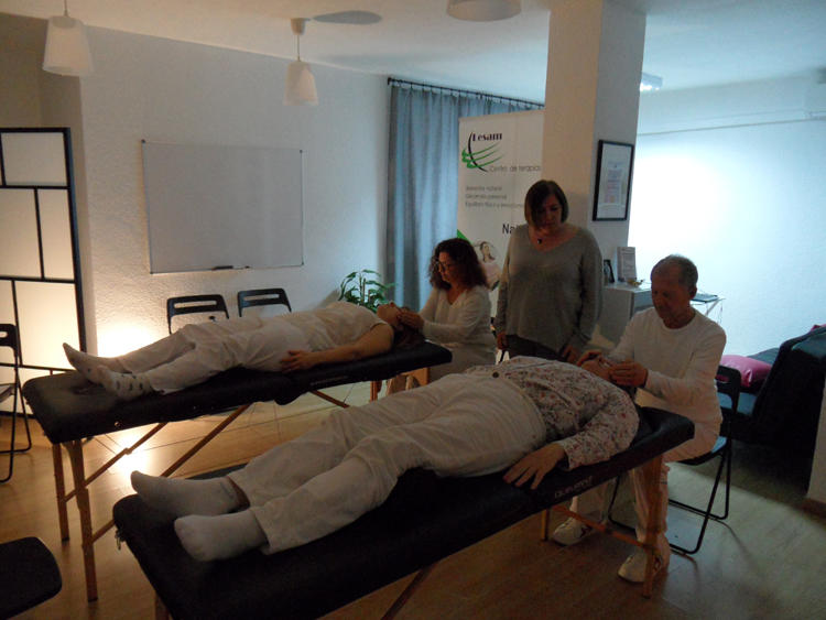 escuela de reiki